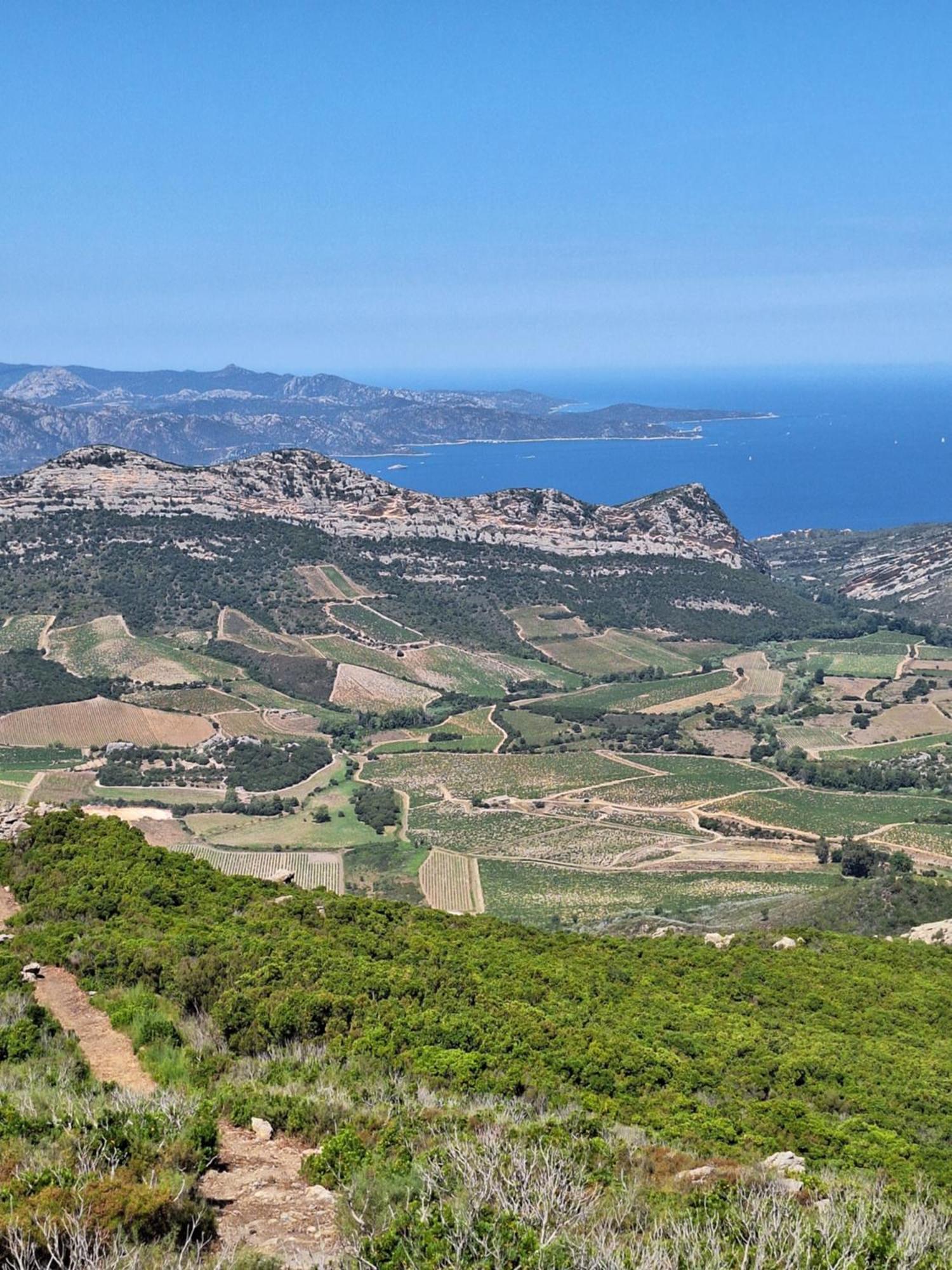 Le Clos Osteria Barbaggio Экстерьер фото